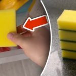 Varför lägga en tvättsvamp i frysen: ett enkelt trick eliminerar